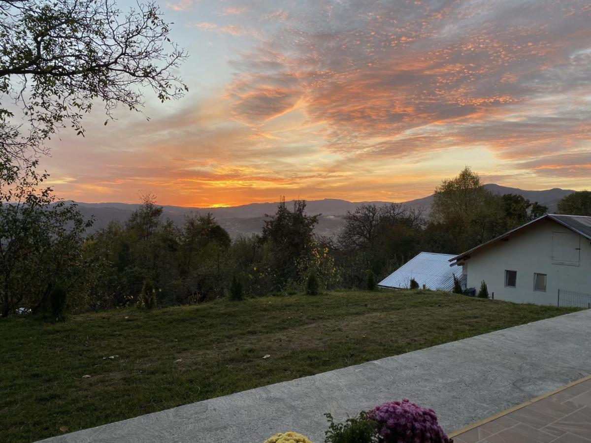 Pensiunea Piri Land Comarnic Bagian luar foto